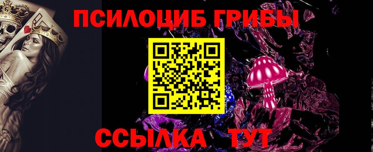Галлюциногенные грибы MAGIC MUSHROOMS  Галлюциногенные грибы Cubensis  Вход с VPN  Сосновый Бор 