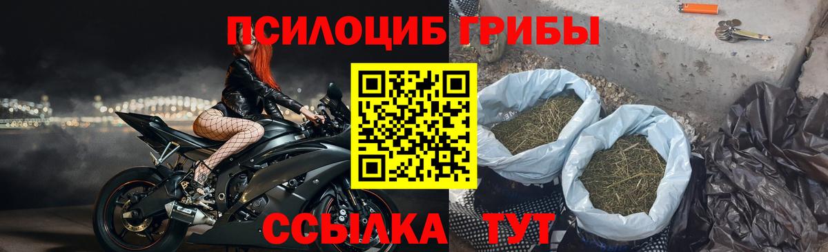 Псилоцибиновые грибы ЛСД Сосновый Бор